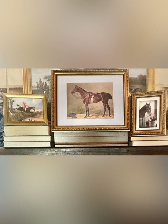 Hunt & Magnolia Other - Styled Equestrian Art Display | Bundle 3+ Save 20% | Gold Frame Decor